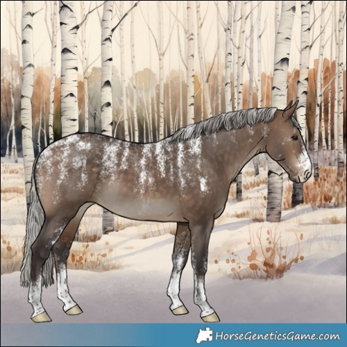 Horse Color:Powder White Silver Brown Dun 