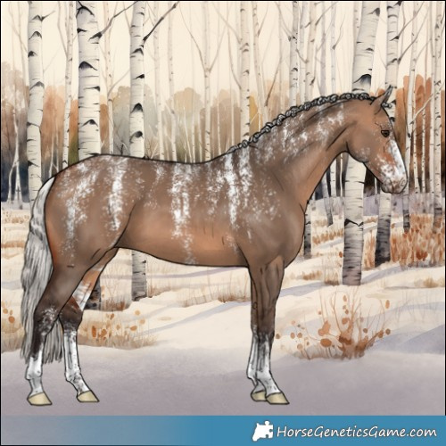 Horse Color:Powder White Silver Brown Dun 