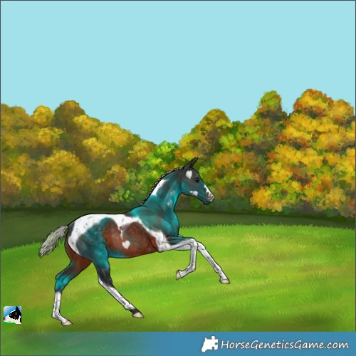 Horse Color:Painted Silver Brown Tobiano Rabicano 