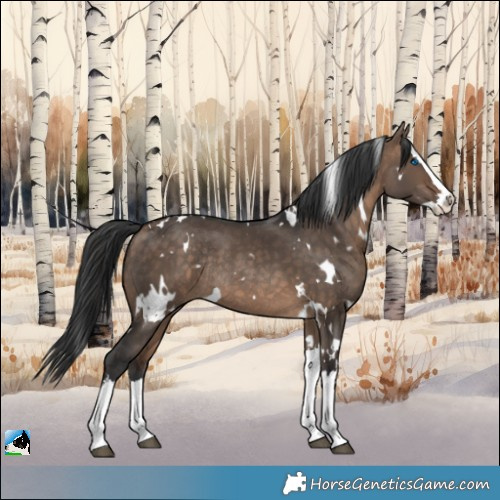 Horse Color:White Spotted Brown Dun Splash Rabicano 