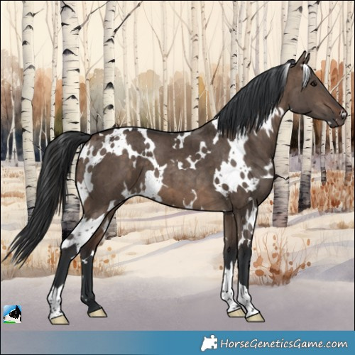 Horse Color:White Spotted Brown Dun Brindle 