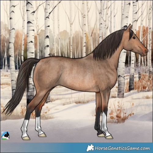 Horse Color:Bay Dun Rabicano Brindle 