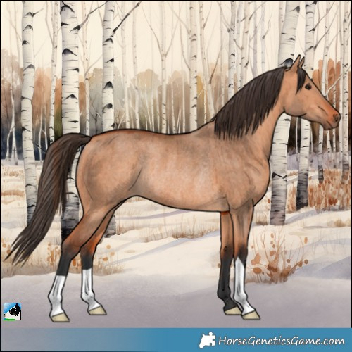 Horse Color:Bay Dun Rabicano Brindle 
