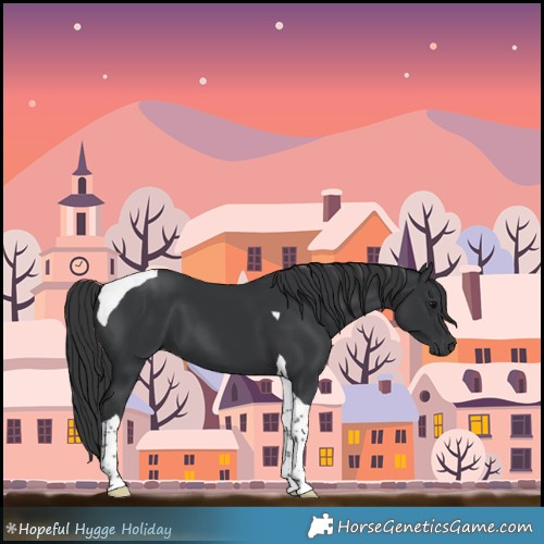 Horse Color:Black Tobiano