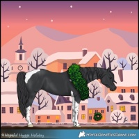 Horse Color:Black Tobiano 