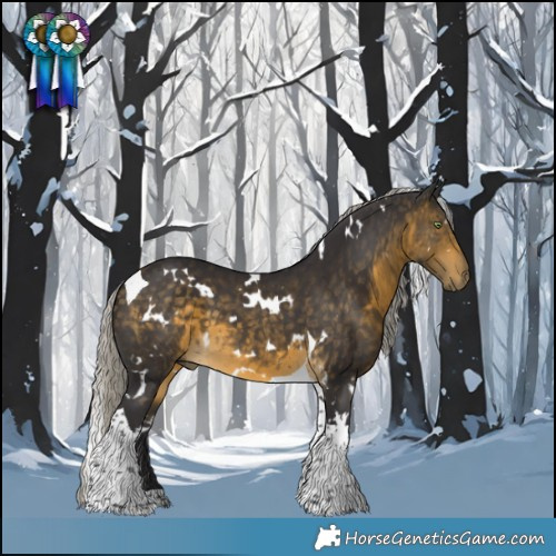 Horse Color:White Spotted Silver Buckskin Tobiano 