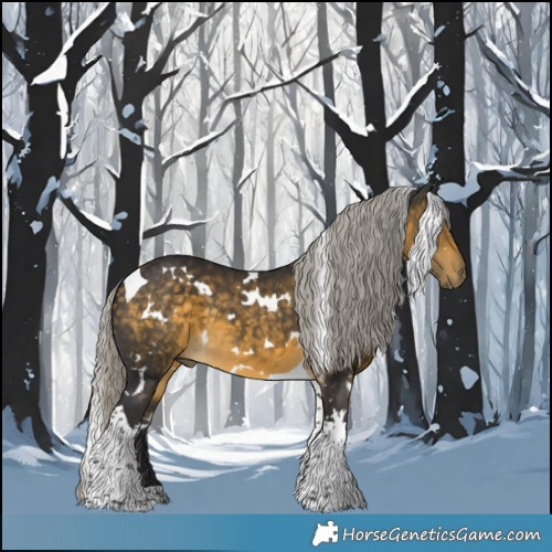 Horse Color:White Spotted Silver Buckskin Tobiano 