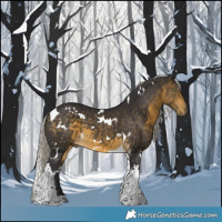 Horse Color:White Spotted Silver Buckskin Tobiano
