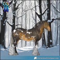 Horse Color:White Spotted Silver Buckskin Tobiano 