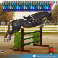 Horse Color:Liver Chestnut Tobiano Rabicano