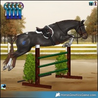 Horse Color:Liver Chestnut Tobiano Rabicano 
