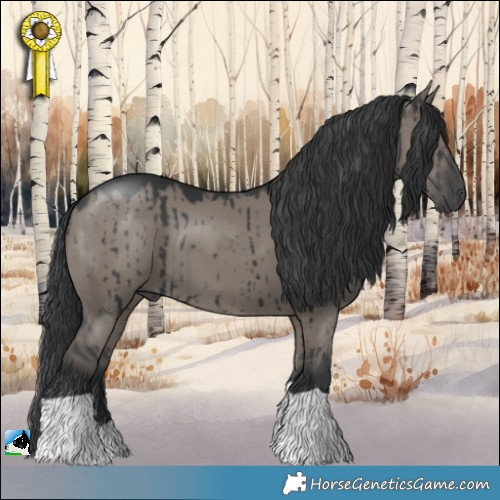 Horse Color:Grullo Brindle 