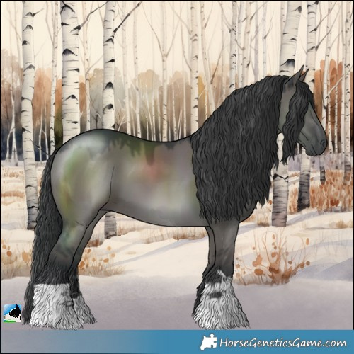 Horse Color:Grullo 