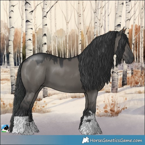 Horse Color:Grullo 