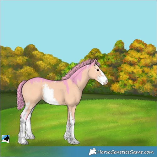 Horse Color:Watercolor Grullo Mushroom Sabino 