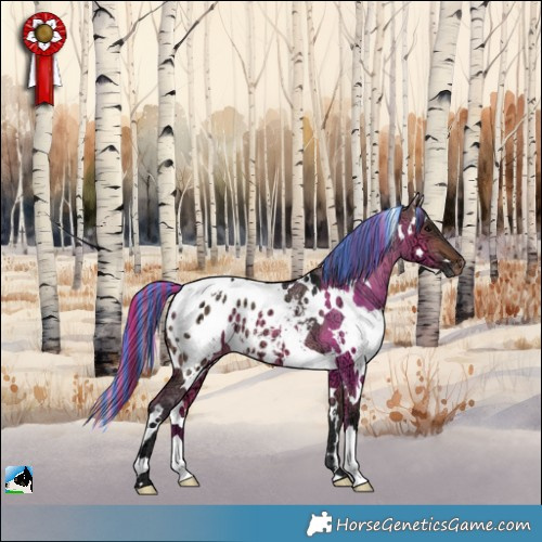 Horse Color:Painted White Spotted Brown Ice Dun Appaloosa 