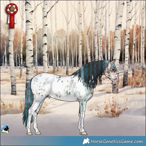Horse Color:Painted White Spotted Brown Ice Dun Appaloosa 