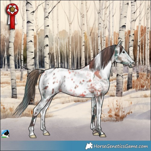 Horse Color:Plaid  White Spotted Grullo Ice Appaloosa 