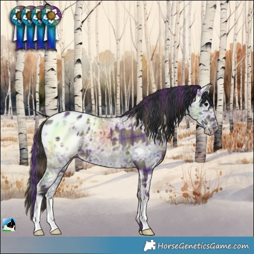 Horse Color:Plaid  Grullo Ice Varnish 