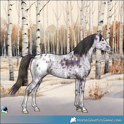 Horse Color:Plaid Grullo Ice Appaloosa