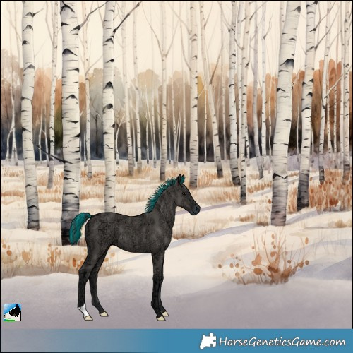 Horse Color:Painted Grullo Ice