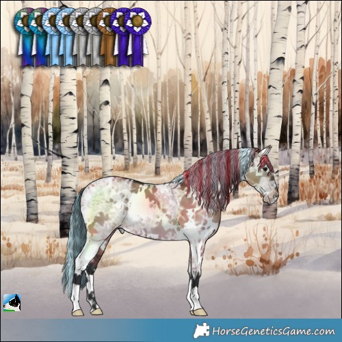 Horse Color:Painted White Spotted Brown Ice Dun 