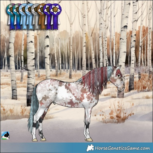 Horse Color:Painted White Spotted Brown Ice Dun 