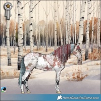 Horse Color:Painted White Spotted Brown Ice Dun 