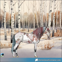 Horse Color:Painted White Spotted Brown Ice Dun 