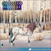 Horse Color:Painted White Spotted Brown Ice Dun
