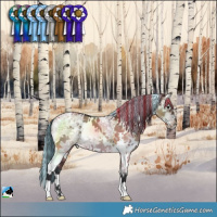 Horse Color:Painted White Spotted Brown Ice Dun 