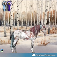 Horse Color:Painted White Spotted Brown Ice Dun