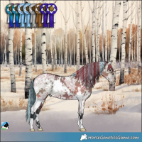Horse Color:Painted White Spotted Brown Ice Dun 