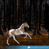 Horse Color:Liver Red Dun Tobiano Rabicano
