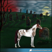Horse Color:White Spotted Brown Dun Tobiano Rabicano