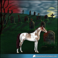 Horse Color:White Spotted Bay Dun Tobiano Blanket Rabicano 