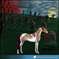 Horse Color:Liver Red Dun Tobiano Varnish Rabicano 