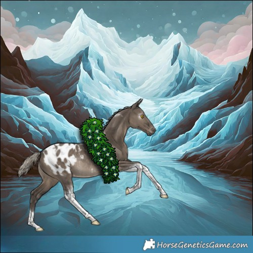 Horse Color:Gray Silver Grullo Tobiano Appaloosa Rabicano 