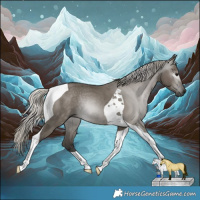 Horse Color:Gray Silver Smoky Grullo Tobiano Rabicano 