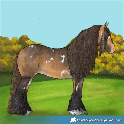 Horse Color:White Spotted Buckskin Varnish 