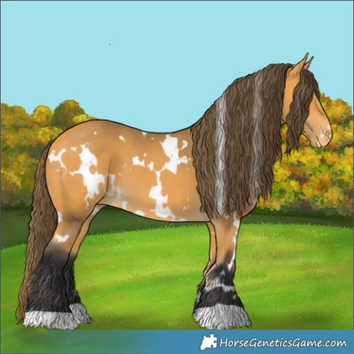Horse Color:White Spotted Buckskin Varnish 