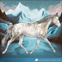 Horse Color:Silver Buckskin Snowdrop Splash Tobiano Appaloosa Rabicano