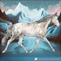 Horse Color:Silver Buckskin Snowdrop Splash Tobiano Appaloosa Rabicano