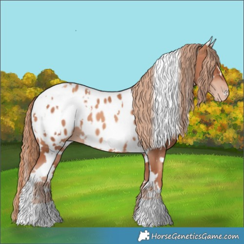 Horse Color:White Spotted Gold Champagne Blanket