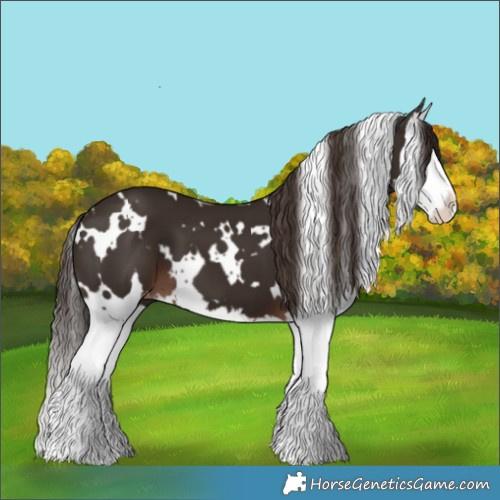 Horse Color:White Spotted Liver Chestnut Splash Varnish