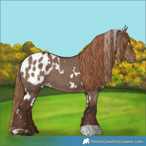Horse Color:White Spotted Liver Red Dun Blanket