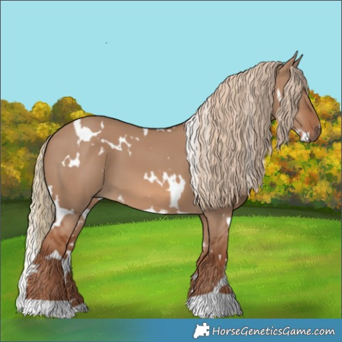 Horse Color:White Spotted Red Dun