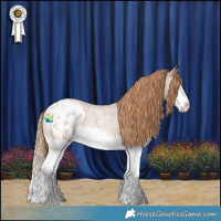Horse Color:Red Dun Roan Splash Appaloosa