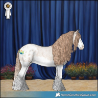 Horse Color:Red Dun Roan Splash Appaloosa 