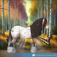 Horse Color:Bay Roan Sabino Splash Appaloosa 